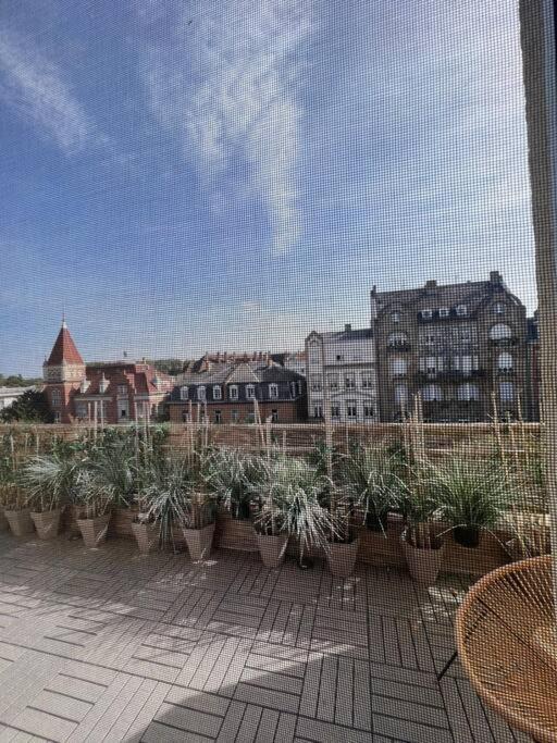 Appartement Cosy Orangerie Straatsburg Buitenkant foto